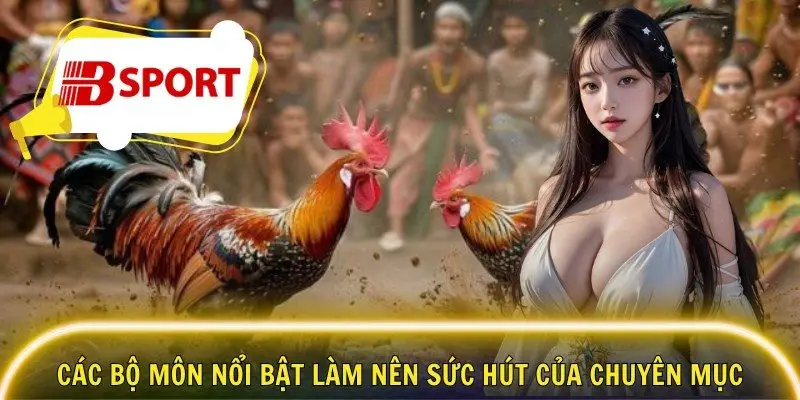 Các bộ môn nổi bật làm nên sức hút của chuyên mục