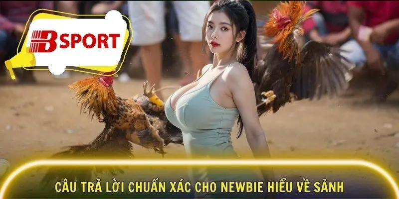 Câu trả lời chuẩn xác cho newbie hiểu về sảnh