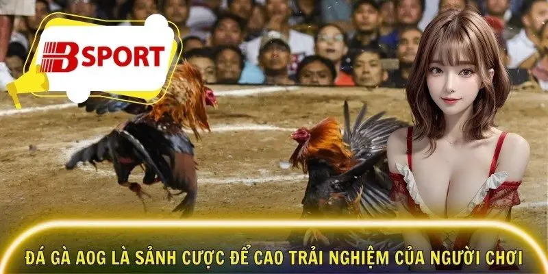 Đá gà AOG là sảnh cược để cao trải nghiệm của người chơi