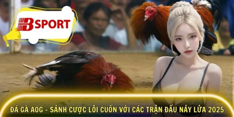 Đá gà AOG - Sảnh Cược Lôi Cuốn Với Các Trận Đấu Nảy Lửa 2025