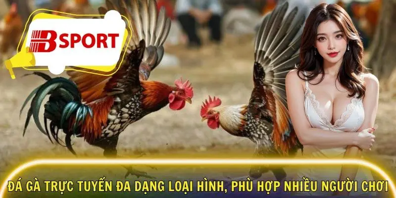 Đá gà trực tuyến đa dạng loại hình, phù hợp nhiều người chơi