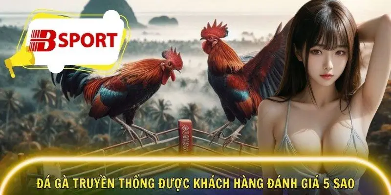 Đá gà truyền thống được khách hàng đánh giá 5 sao
