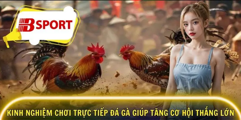 Kinh nghiệm chơi trực tiếp đá gà giúp tăng cơ hội thắng lớn