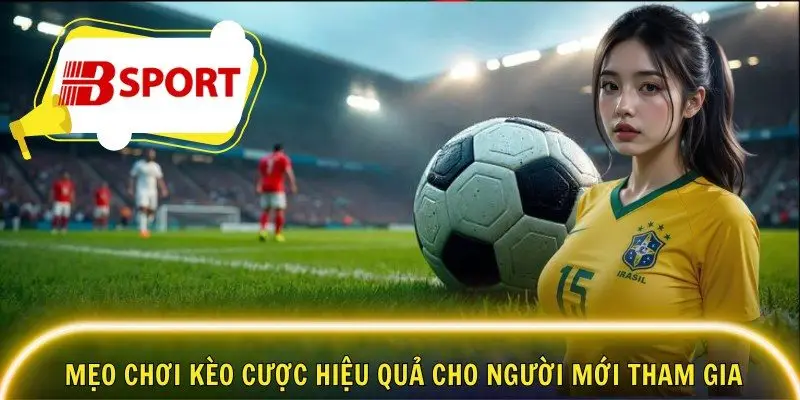 Mẹo chơi kèo cược hiệu quả cho người mới tham gia