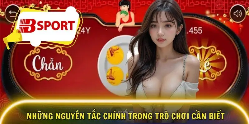 Những nguyên tắc chính trong trò chơi cần biết