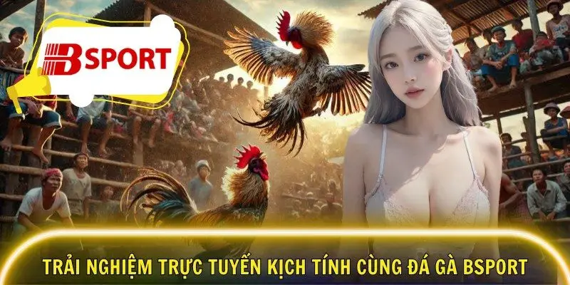 Trải nghiệm trực tuyến kịch tính cùng đá gà Bsport